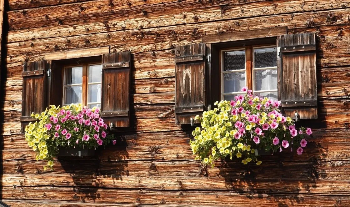 maison en bois